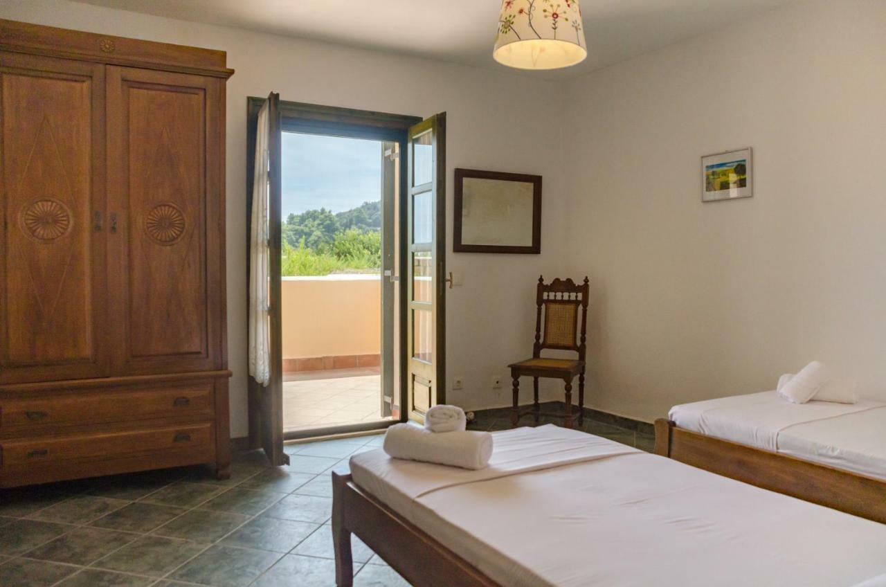 Seaview Daisy House In Zakynthos Island Dom wakacyjny *